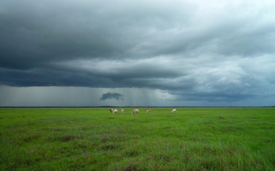 Aut et eligendi ducimus aut