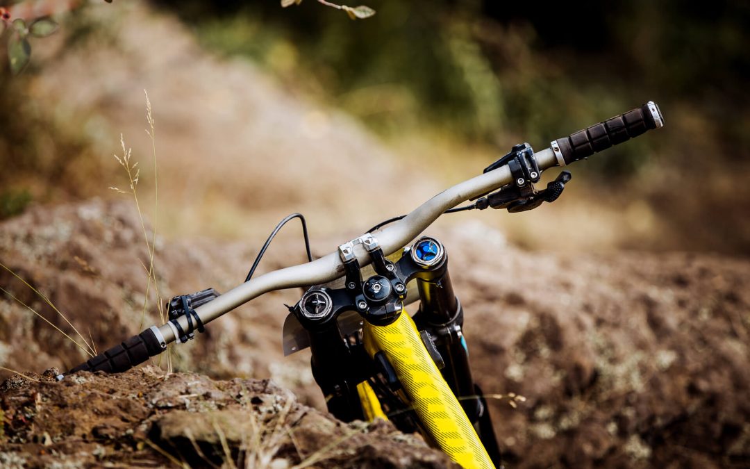 Donec consectetuer ligula vulputate sem