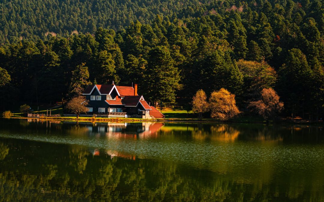 Ten Unbelievable Facts About Forest And Mountain.