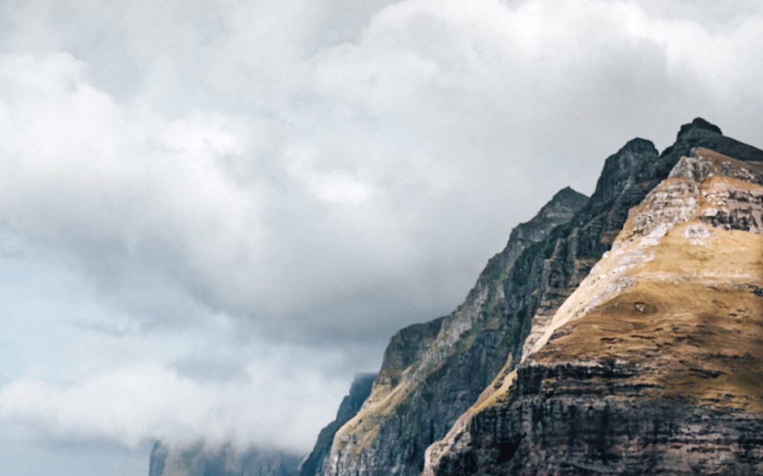 The Anatomy of a Great Forest And Mountain