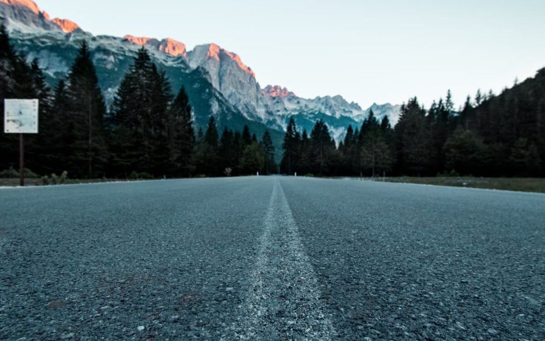 15 Places That You Can Find Forest And Mountain.