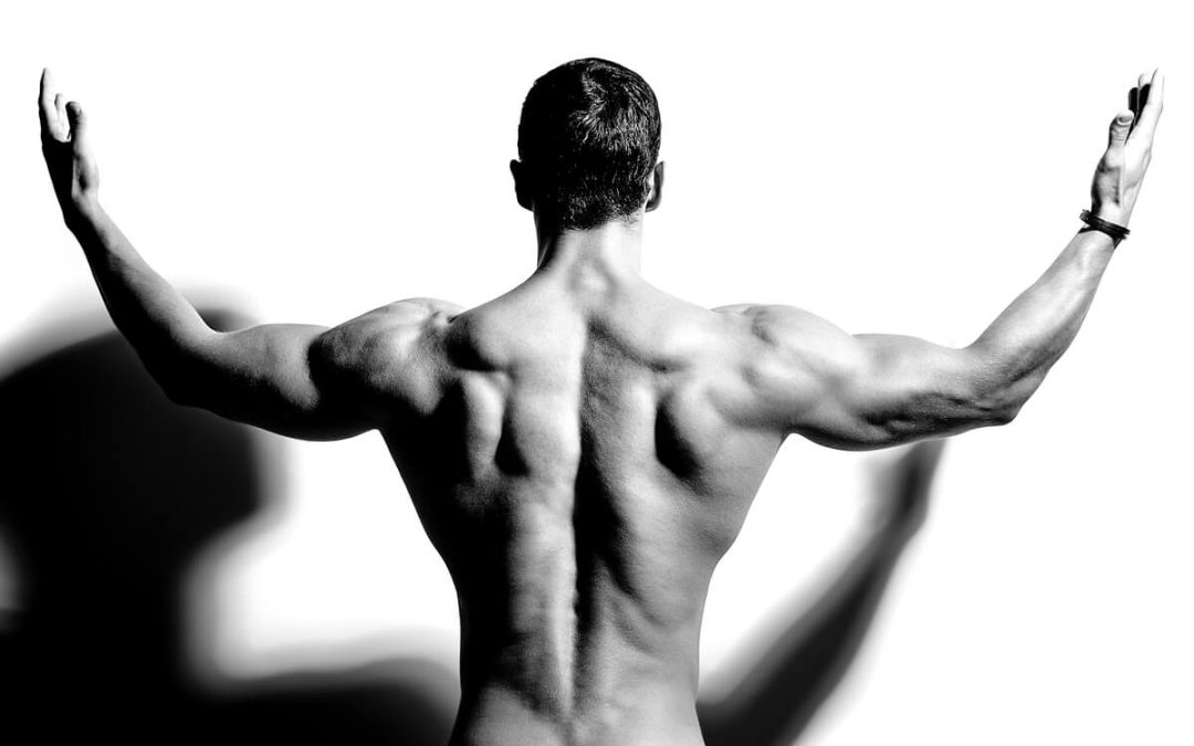 15 Best Blogs to Follow About Fitness