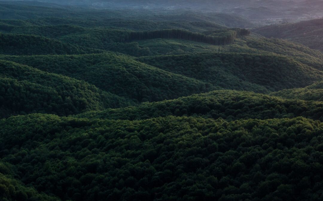 A Travel Success Story You’ll Never Believe