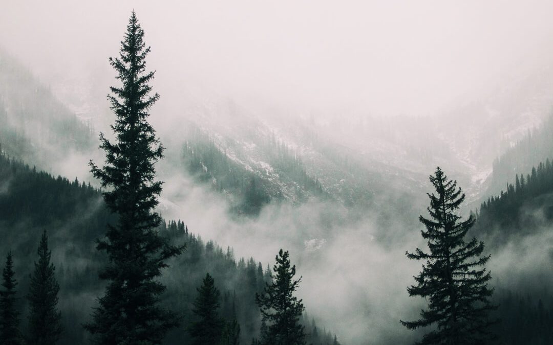 15 Weird Hobbies That’ll Make You Better at Travel